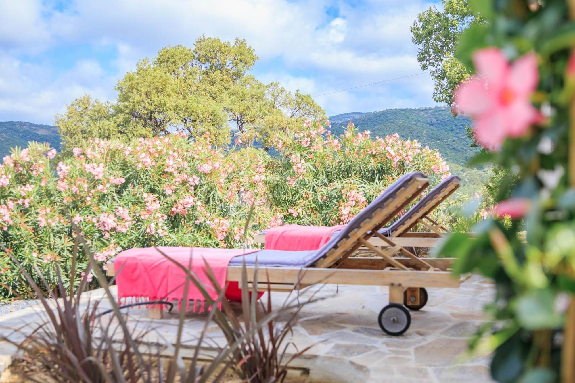 Villa Nais B&B Bormes-les-Mimosas Exterior photo